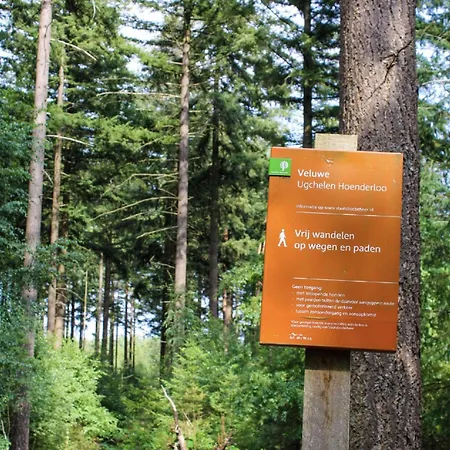 Wellness W Hot Tub Tatil Evi Hoenderloo