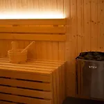Wellness W Hot Tub